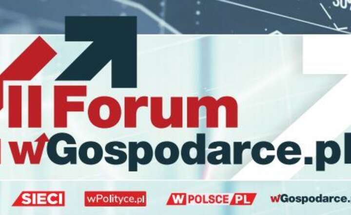 II Forum wGospodarce.pl / autor: Fratria