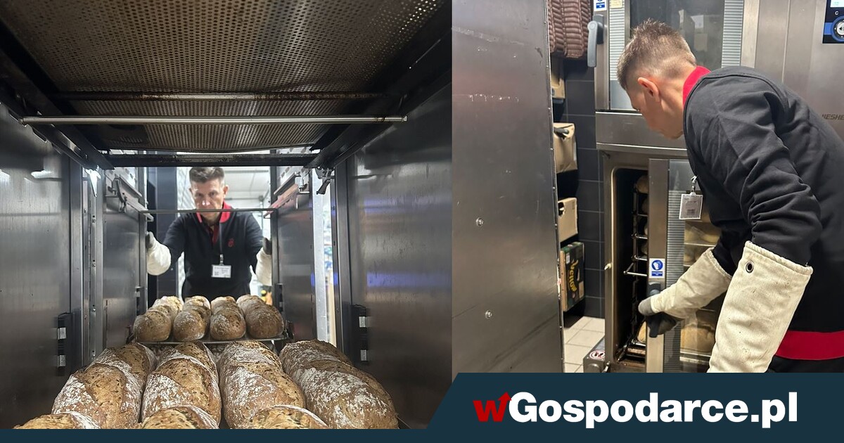 Poseł Petru pracuje w Wigilię w sklepie Biedronka