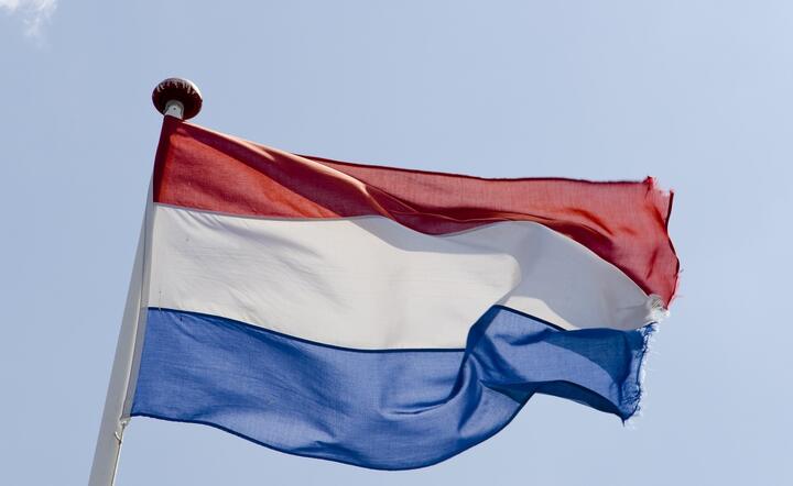 Holandia / autor: pixabay