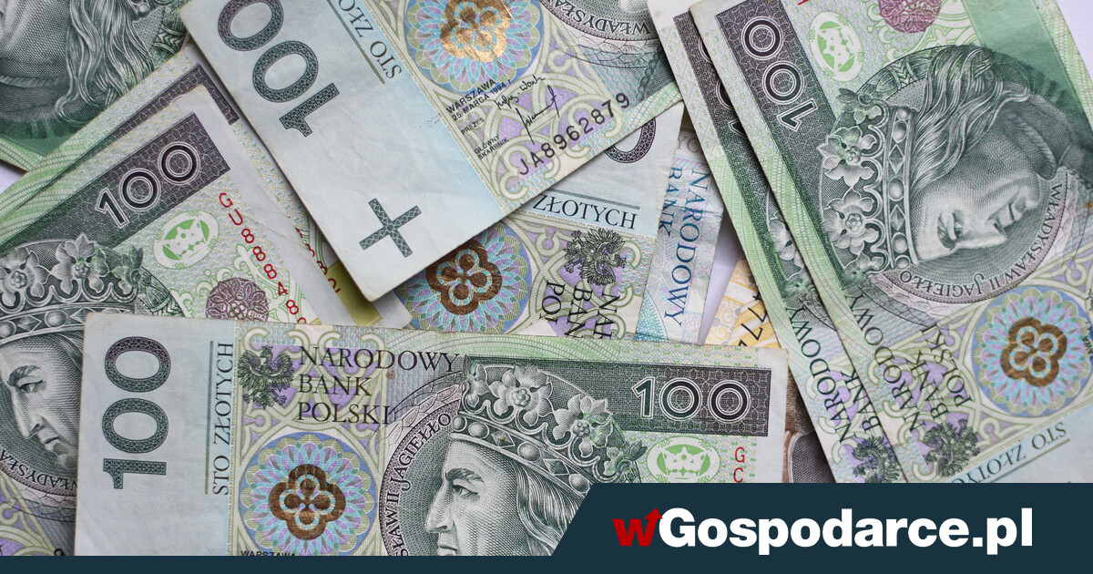 Stażysta za darmo? PAIH ogłasza wielki program