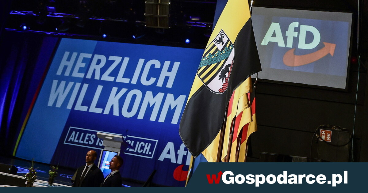 AfD miażdży! Polityczne trzęsienie ziemi w Niemczech