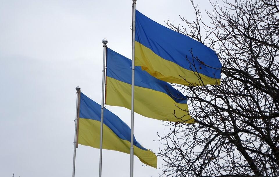 Flagi Ukrainy / autor: Fratria