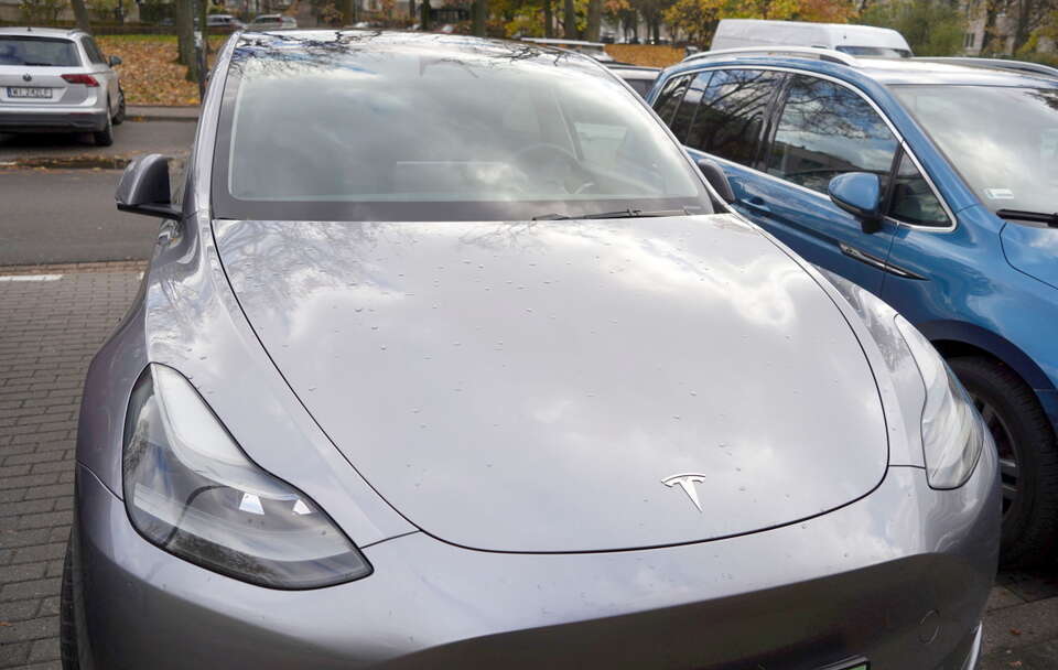 Tesla przegrywa z Chińczykami! Znamy wyniki sprzedaży