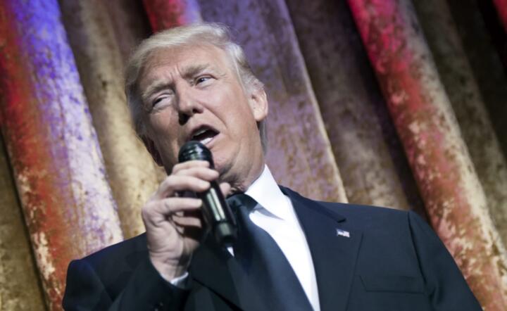 Prezydent elekt Donald Trump, fot. PAP/EPA/KEVIN DIETSCH