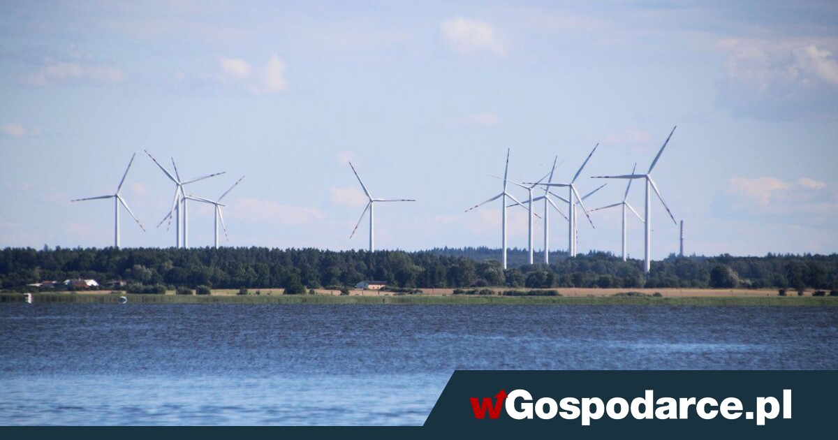 Pierwsza afera Tuska? Chodzi o wiatraki!