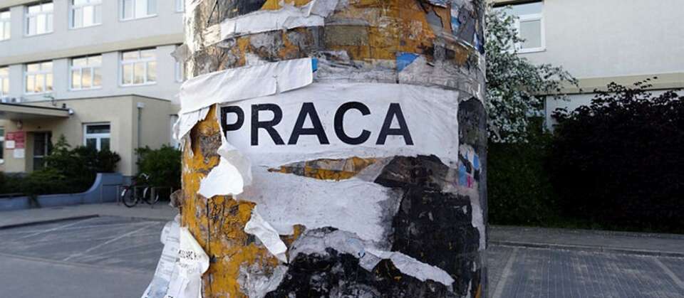 autor: fratria