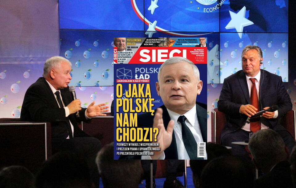 autor: Fratria/Sieci