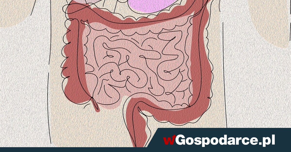 Po kolonoskopii warto zadbać o... probiotyki