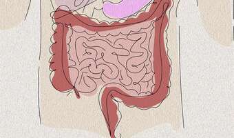 Po kolonoskopii warto zadbać o... probiotyki