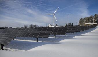 GUS podał udział OZE w zużyciu energii elektrycznej