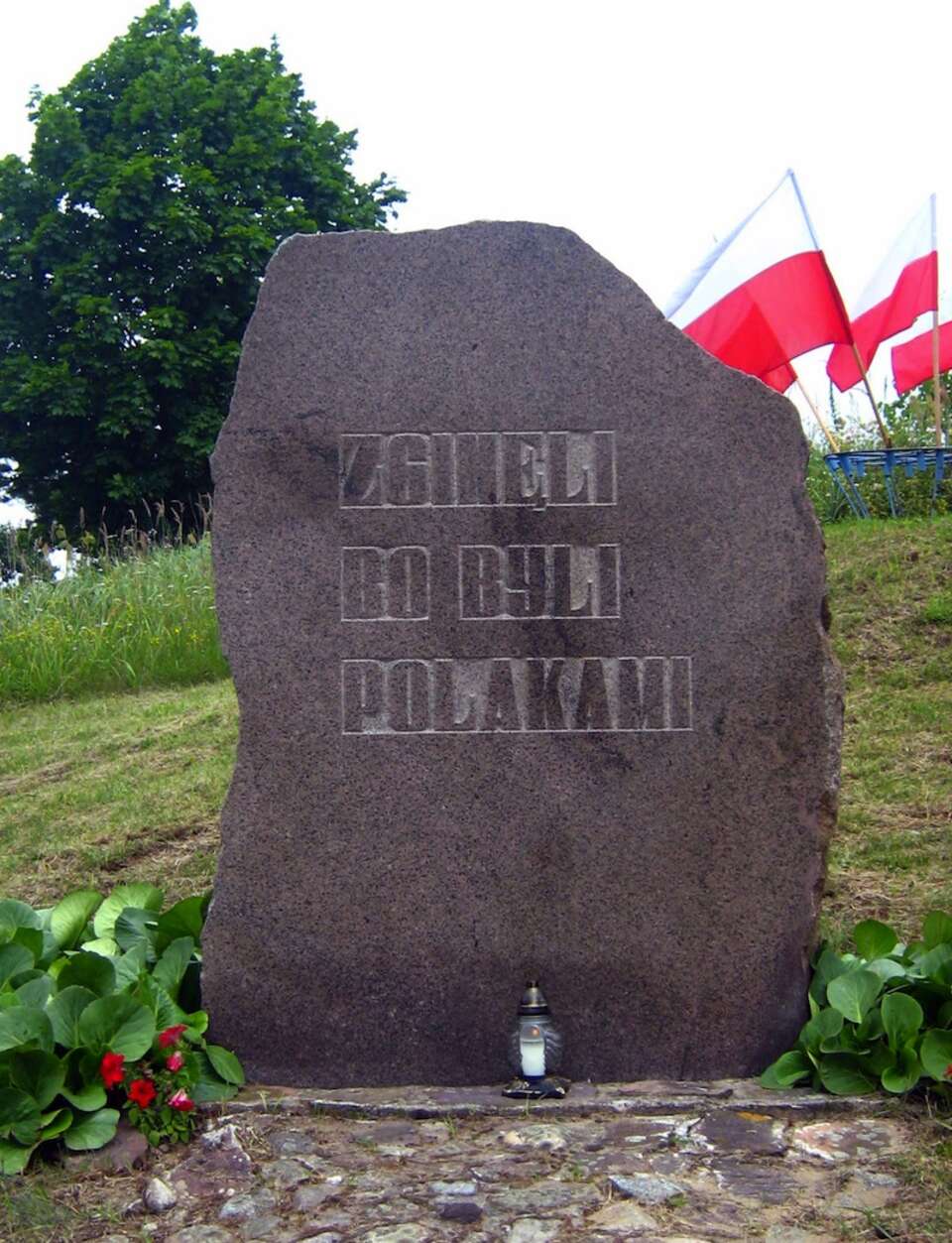 fot. wikipedia