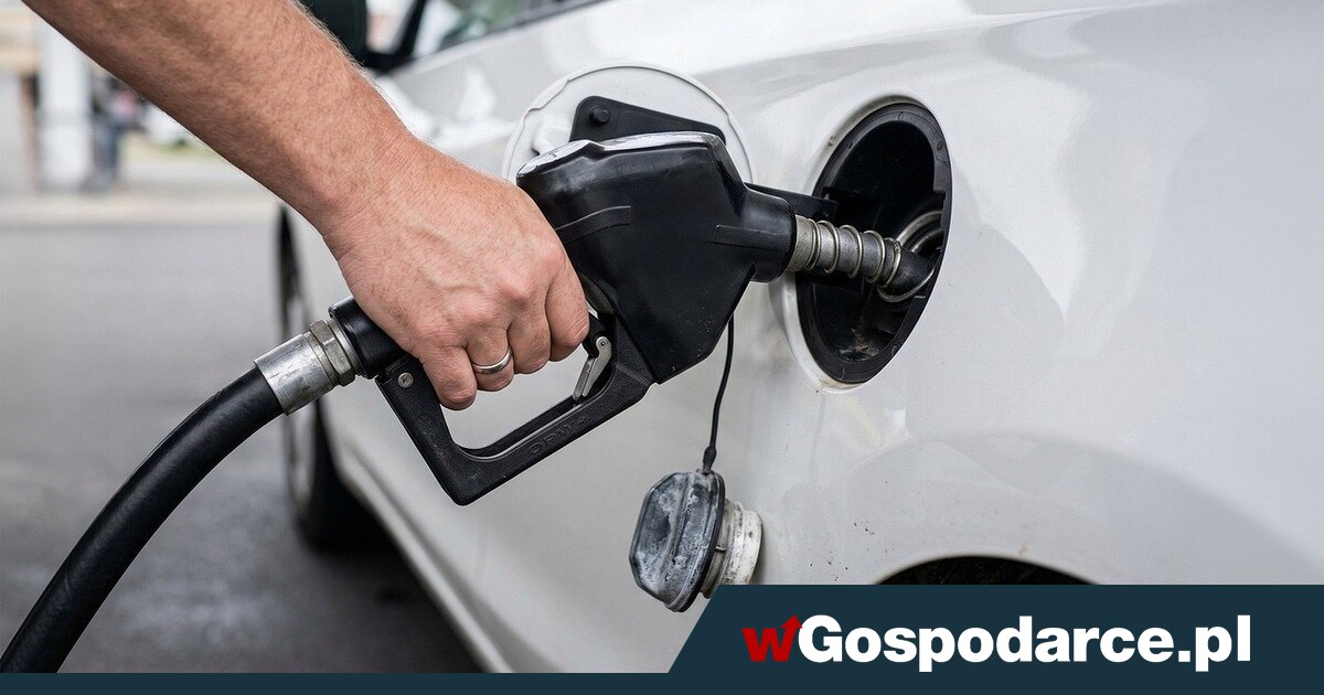 Когда в Европе закончится нефть? Вот конкретный день