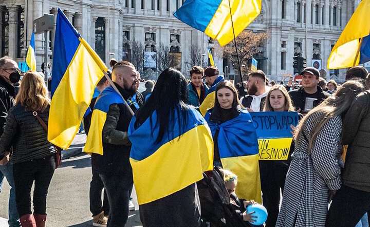 Ukraińcy / autor: Pixabay