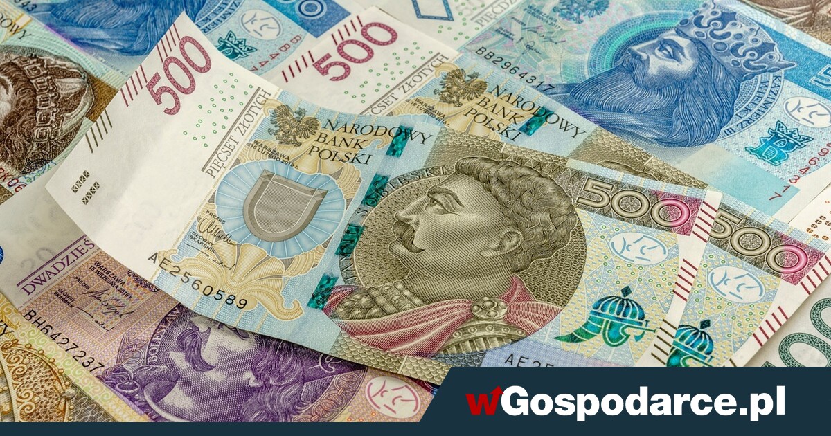 Stopy procentowe NBP: jak się zmienią w przyszłym roku?