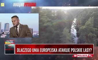 Rzecznik LP: Unia Europejska chce zarżnąć polską gospodarkę