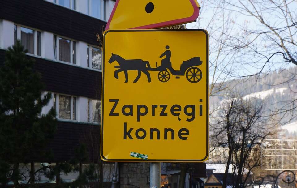 tabliczka "zaprzęgi konne" w Zakopanem / autor: Fratria