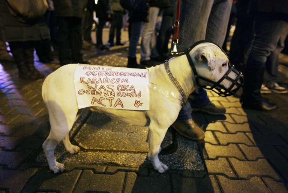 Fot. PAP / Paweł Supernak
