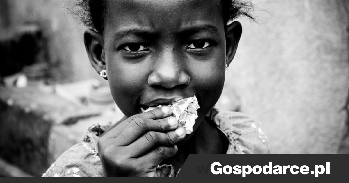 Głód W Afryce Tak Zadziała Brak Dostaw Z Rosji I Ukrainy Wgospodarcepl 5813