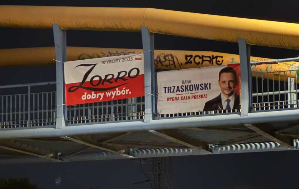 "'Zorro' dobry wybór" / autor: Nadesłane od czytelnika 