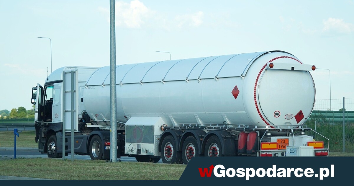 Paliwowa ośmiornica-gigant. Oszukali na 24 mln zł!