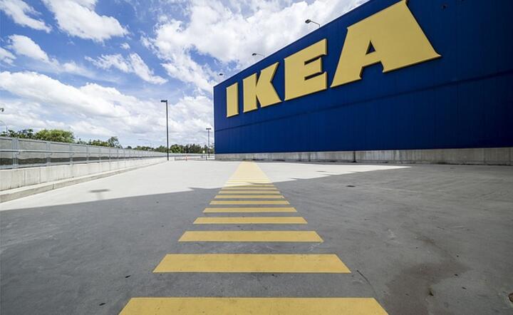 Dzięki Holandii IKEA płaciła zaniżone podatki