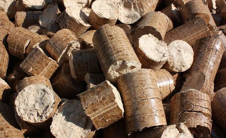 Brykiet z łusek słonecznika może być konkurencją dla pelletu. ZDJĘCIE ILUSTRACYJNE / autor: Pixabay