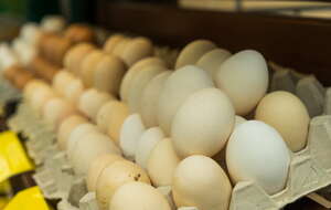 Jajka w sklepie / autor: Fratria