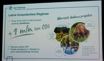 Energetyka wspiera Leśne Gospodarstwa Węglowe