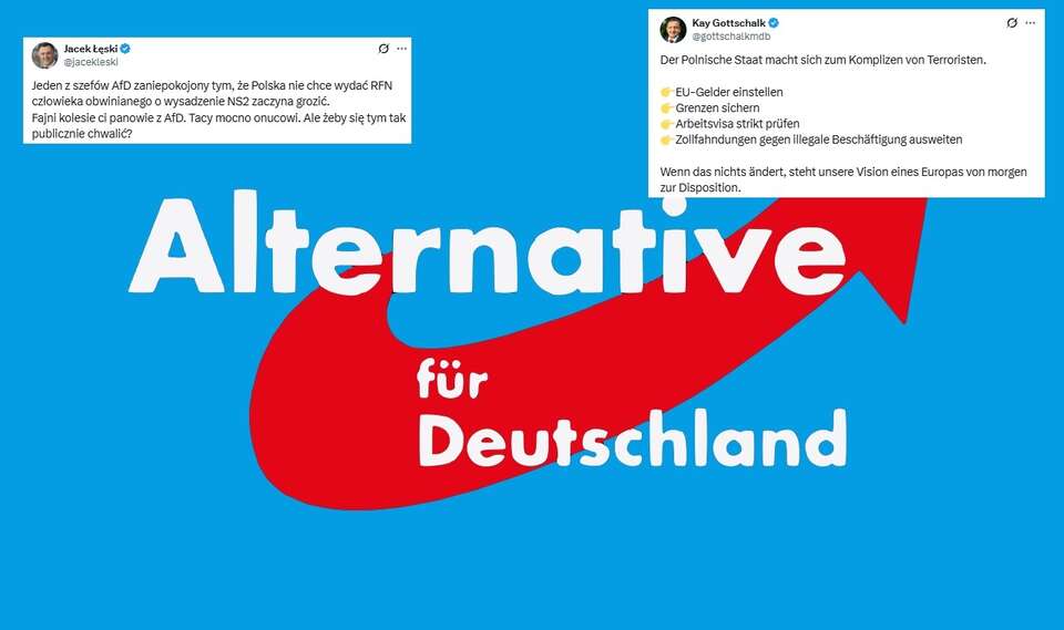AFD / autor: Haisollokopas, CC BY-SA 4.0 <https://creativecommons.org/licenses/by-sa/4.0>, via Wikimedia Commons