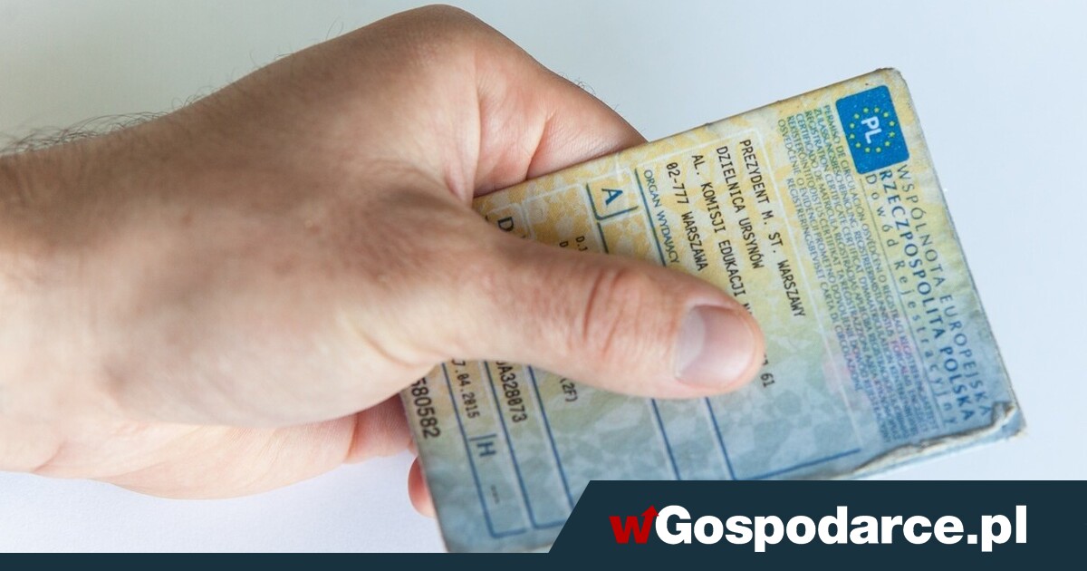 Wierzchołek góry lodowej? Pieczątki za łapówki