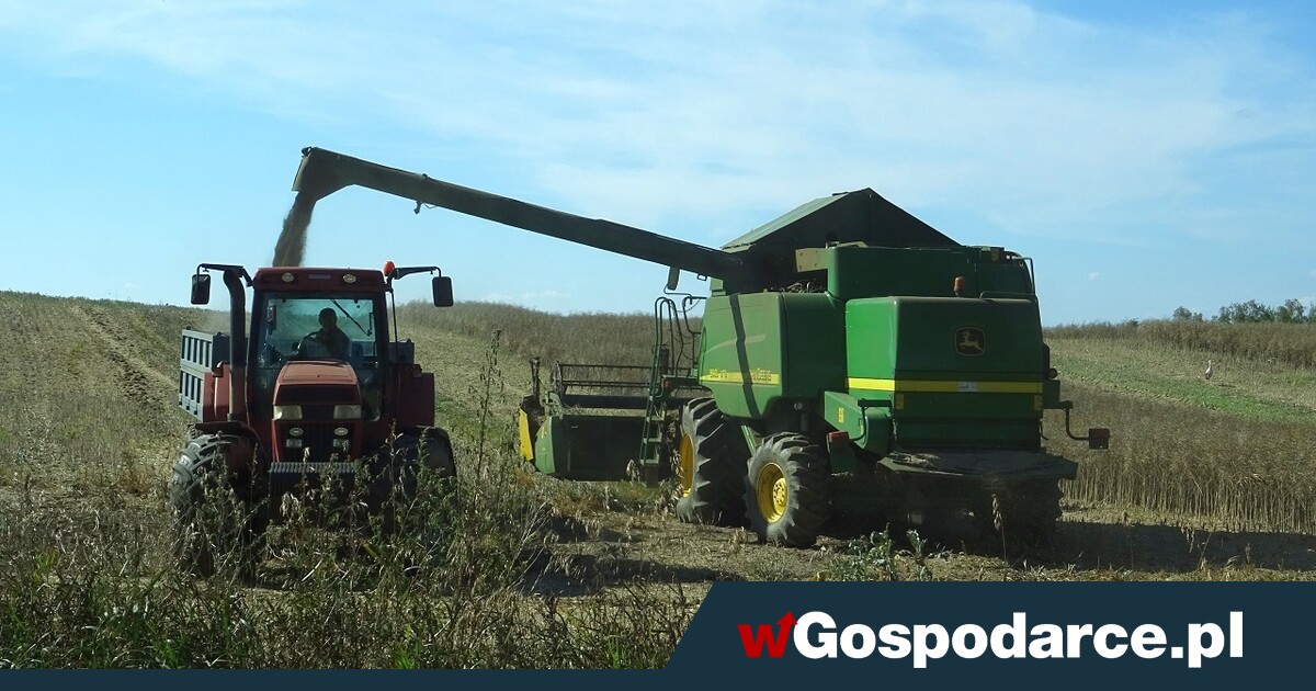 Nie będzie interwencyjnego skupu zbóż