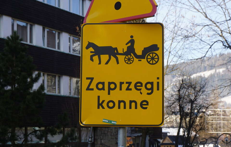 Zakopane / autor: Fratria