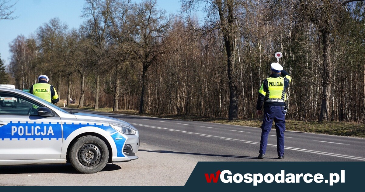 Liczba mandatów z "automatu" wzrosła w rok o jedną piątą!