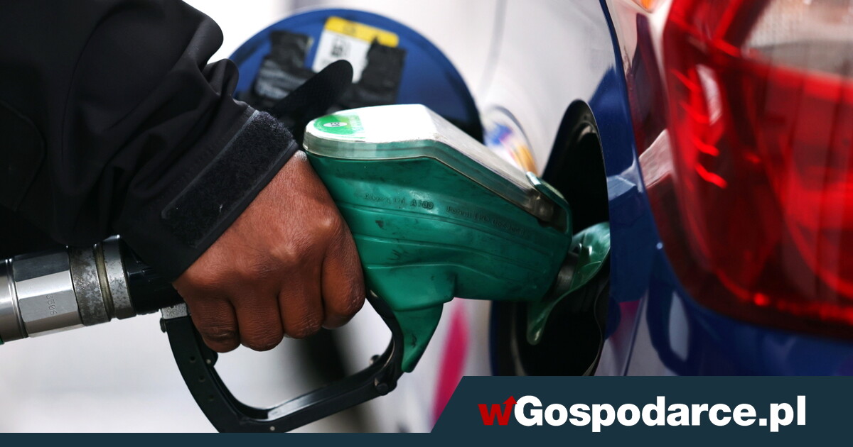 Tusk urządził Niemcom paliwowe eldorado. „Danke!”