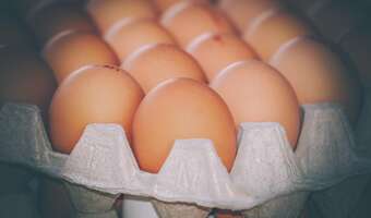 Zaskakujące ruchy na rynku jaj. Kwitnie reeksport!