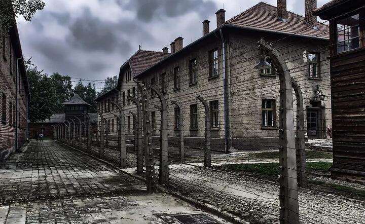 To Niemcy powinni płacić za dawne obozy koncentracyjne / autor: fot. Pixabay