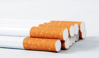 Rozbito gang produkujący nielegalne papierosy