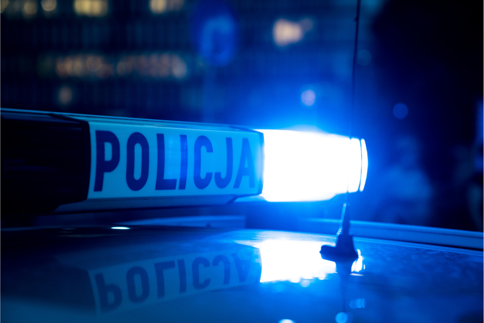 Policja / autor: Fratria