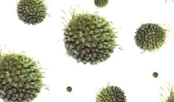 Departament Rolnictwa zaskoczył inwestorów