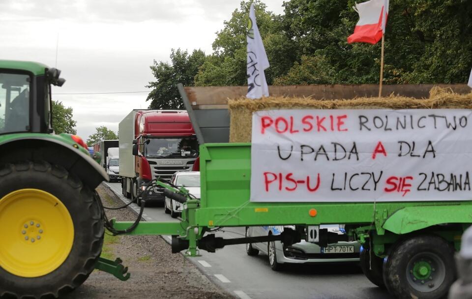 autor: PAP/Tomasz Waszczuk