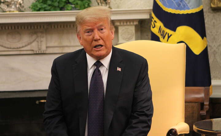 Prezydent USA Donald Trump / autor: Fratria