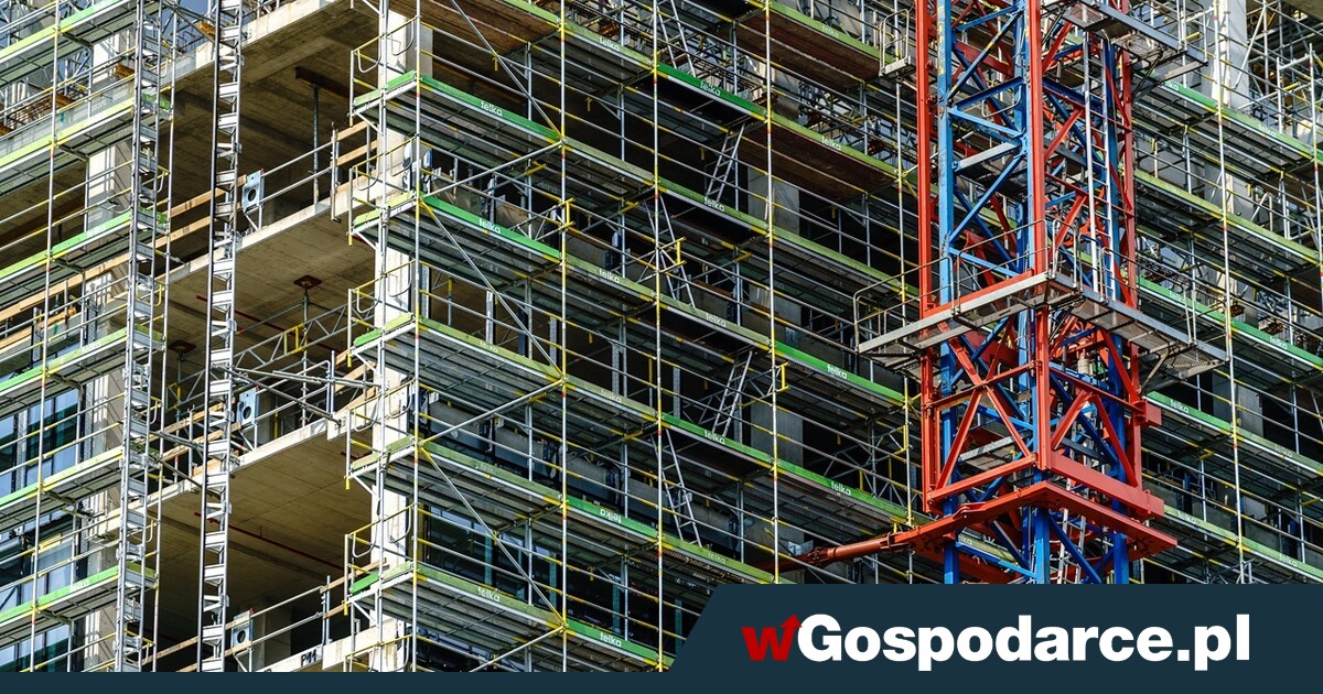 PKO BP przekonuje: inwestycje ruszą jak burza