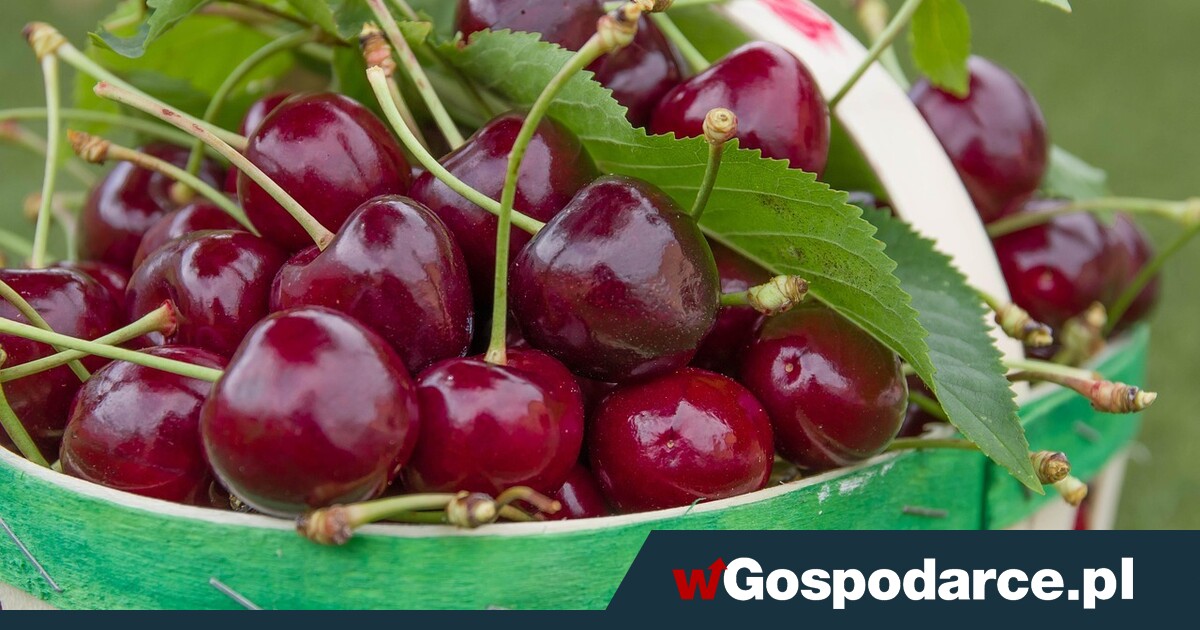 Zmowa cenowa na rynku owoców?