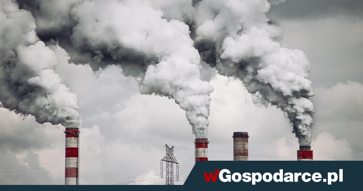 CBAM ruszył! Znamy kluczową stawkę podatku