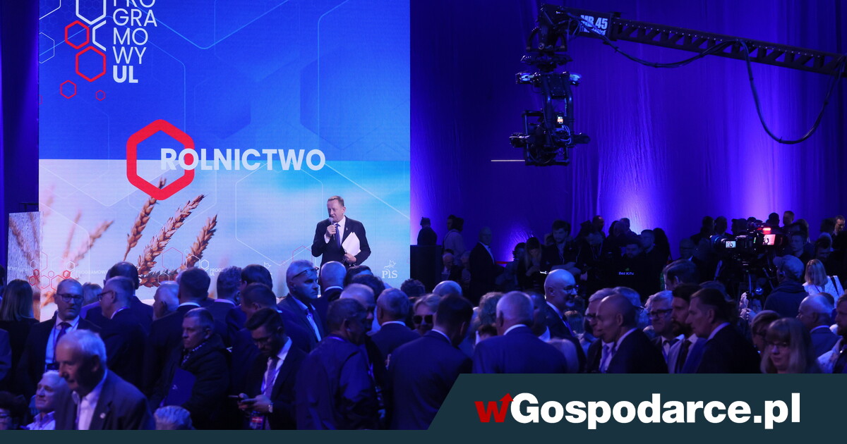 "Ustawa hiszpańska" wesprze rolnictwo!