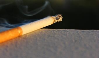 Szara strefa tytoniowa w Polsce na historycznie niskim poziomie