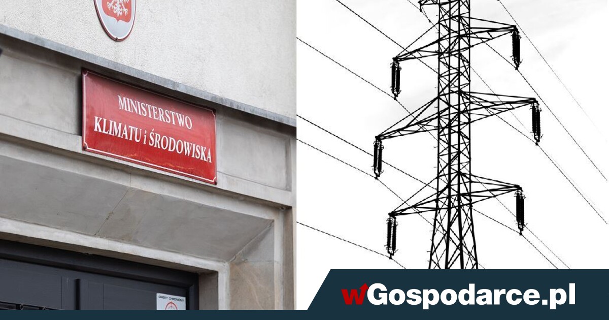 Energetyka. Nowy pełnomocnik, a choćby dwóch?