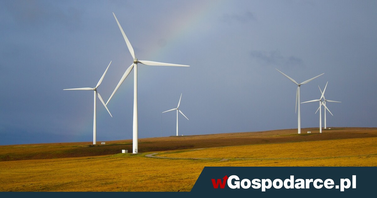Wysoka cena zielonej energii. "Doliczane do rachunków za prąd"