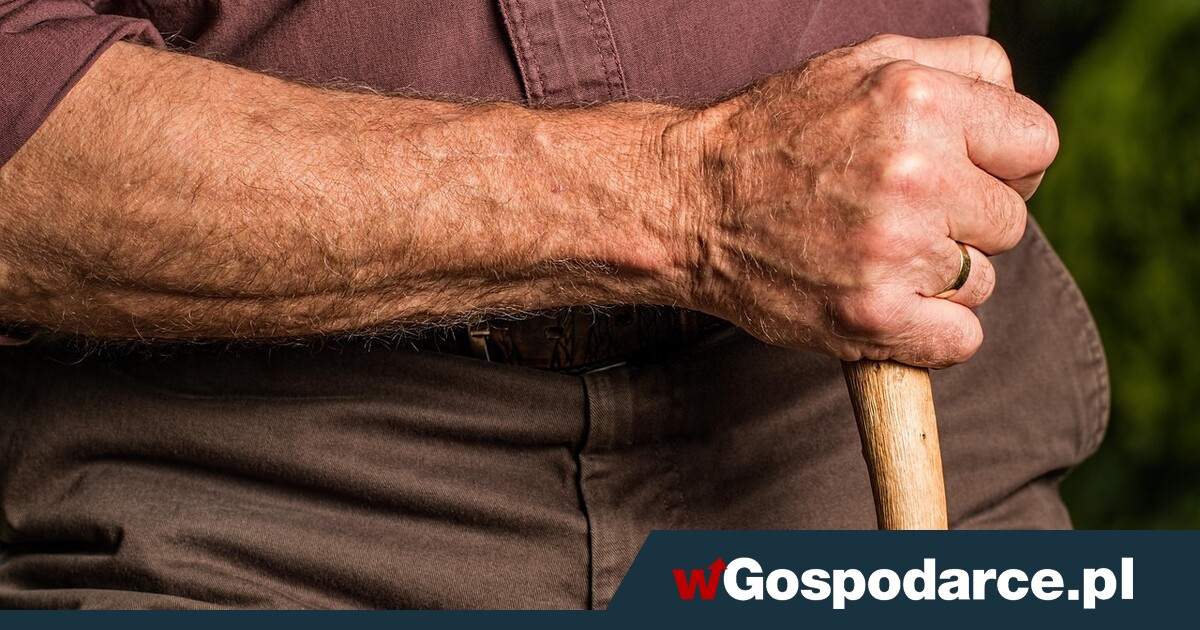 Przepracowała jeden dzień w życiu. Szok, jaką emeryturę ZUS jej wypłaca