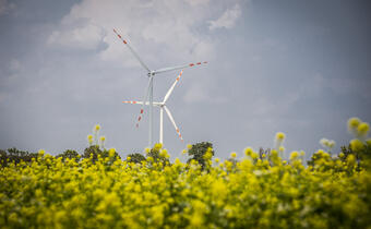 Tauron przejął projekt farmy wiatrowej o mocy 6 megawatów